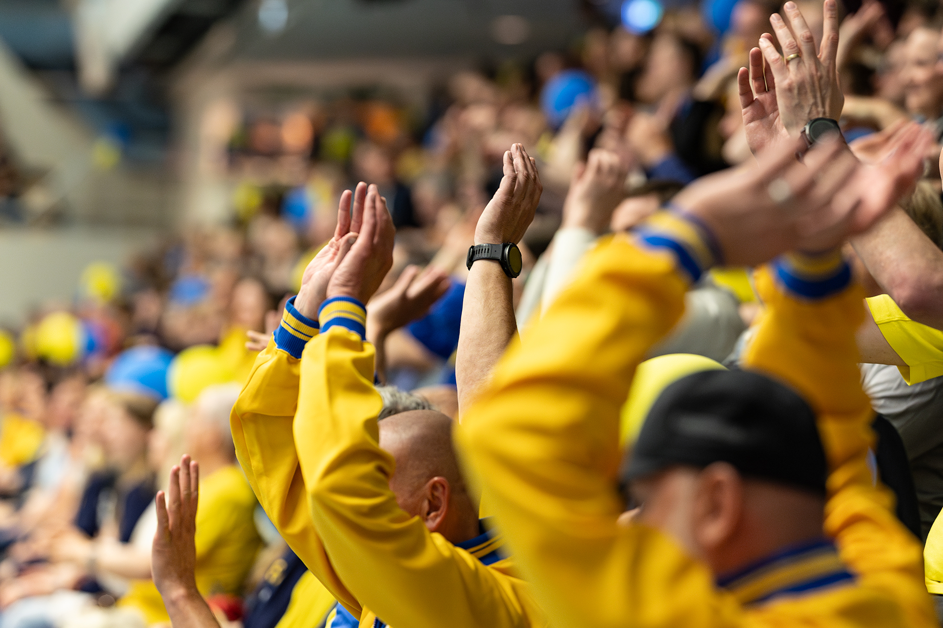 1O8A8033-Förbättrad-NR 1O8A8033-Förbättrad-NR