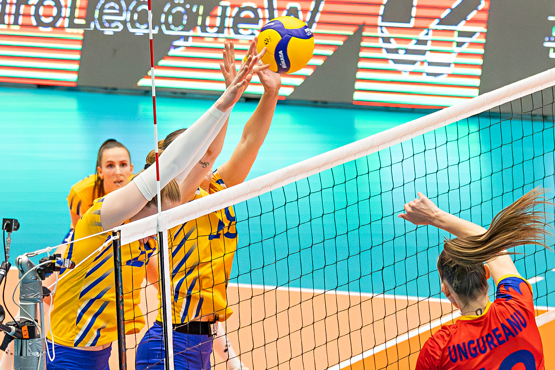 _D9A5876-Förbättrad-NR _D9A5876-Förbättrad-NR